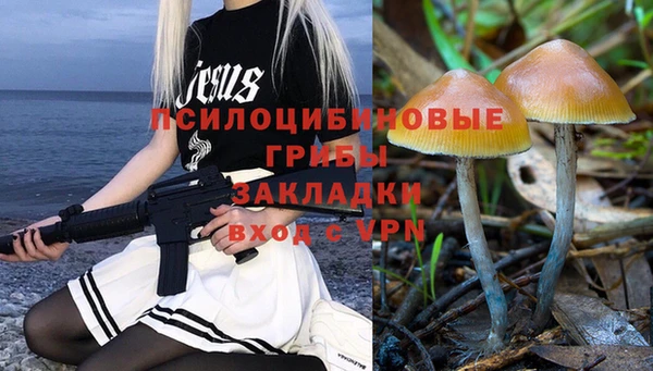 таблы Каменногорск