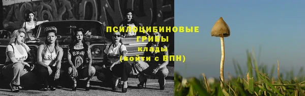 дживик Каменка