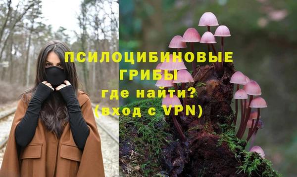 дурь Каменск-Шахтинский