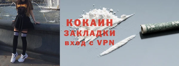 дживик Каменка