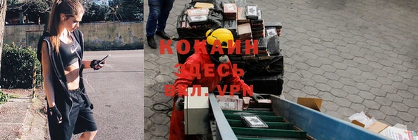 дурь Каменск-Шахтинский