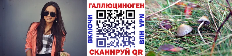 Псилоцибиновые грибы мицелий  Долгопрудный 