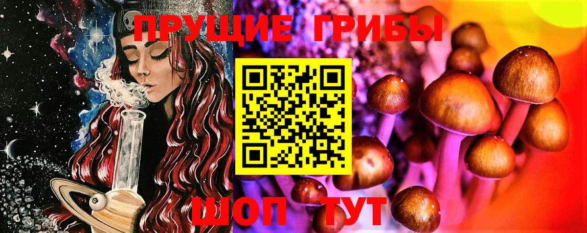 Псилоцибиновые грибы мухоморы Долгопрудный