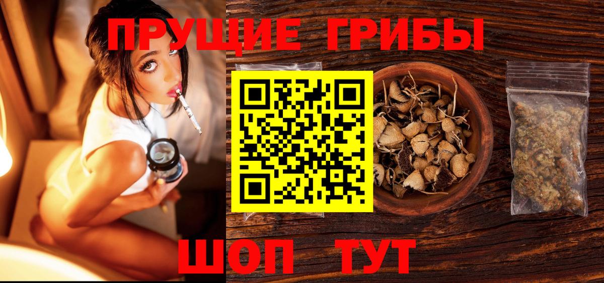 НБОМе Долгопрудный